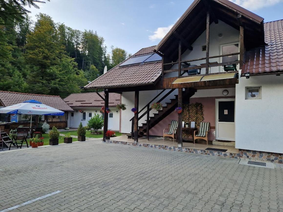Hotel Casa Popa'S Cîrţişoara Esterno foto