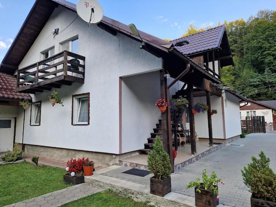 Hotel Casa Popa'S Cîrţişoara Esterno foto