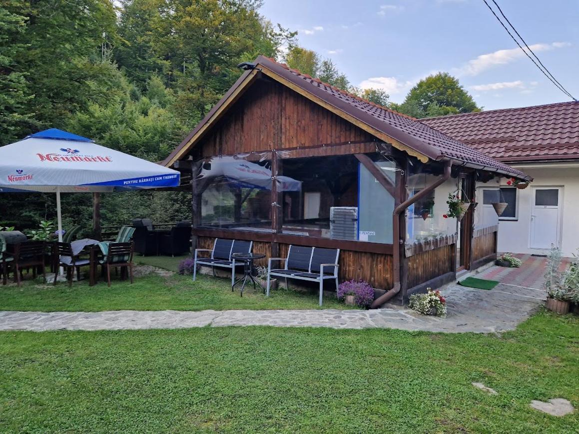 Hotel Casa Popa'S Cîrţişoara Esterno foto