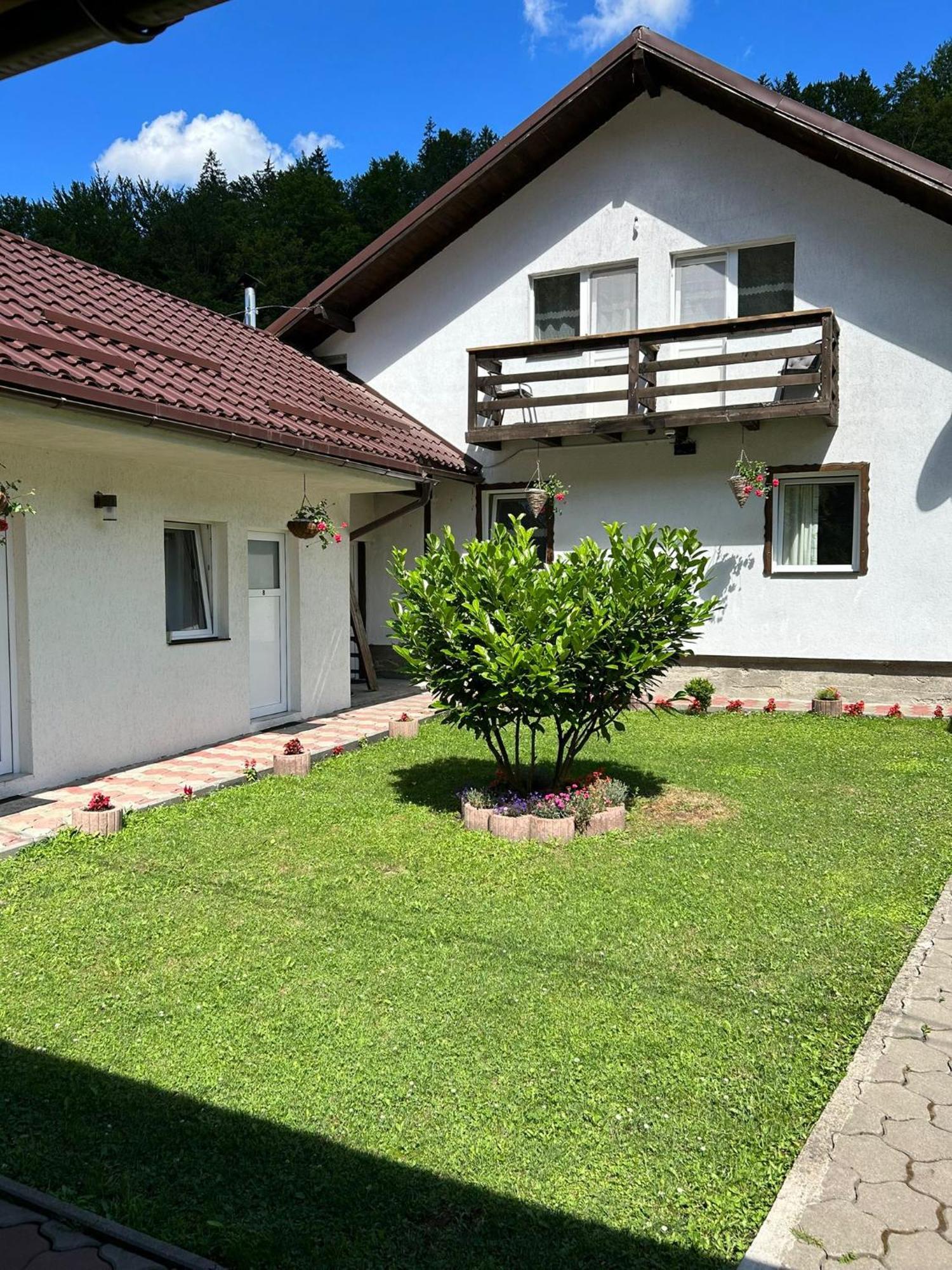 Hotel Casa Popa'S Cîrţişoara Esterno foto