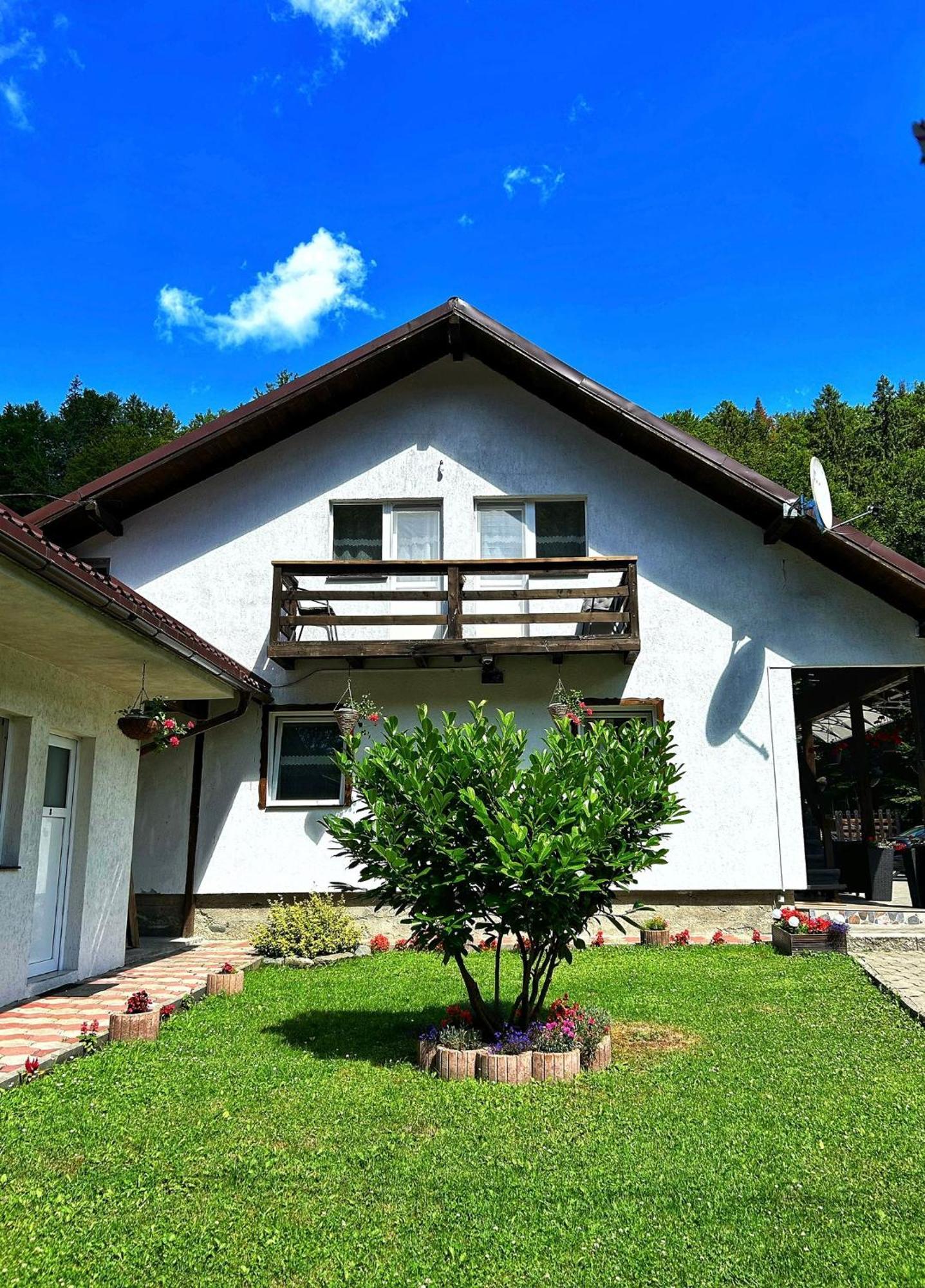 Hotel Casa Popa'S Cîrţişoara Esterno foto