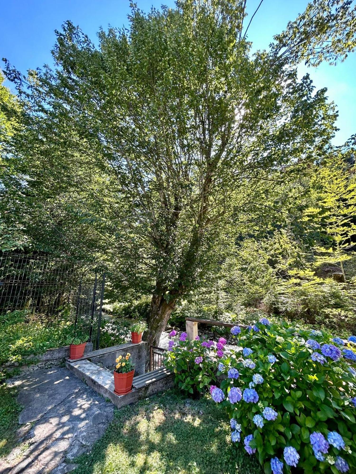 Hotel Casa Popa'S Cîrţişoara Esterno foto